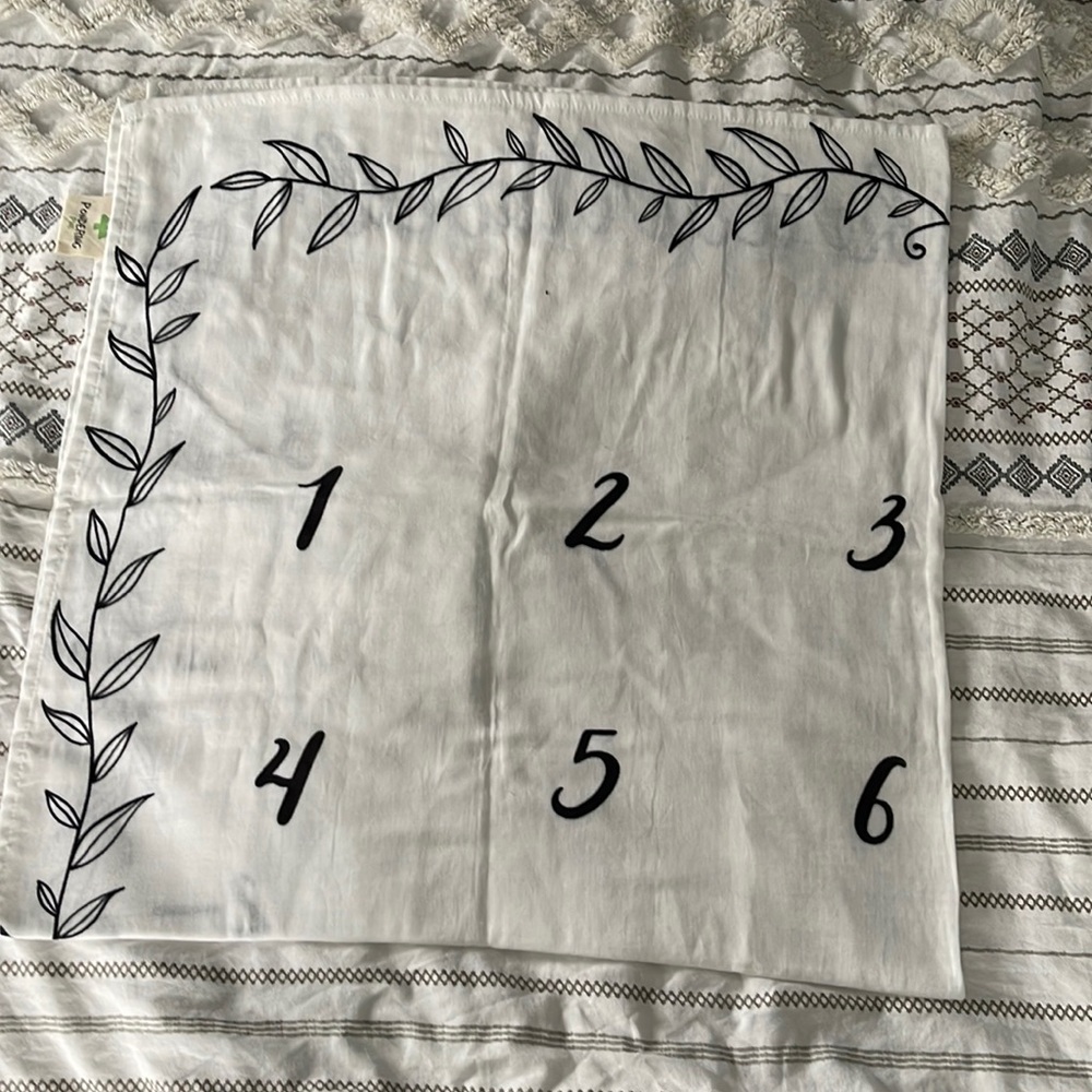 Milestone blanket